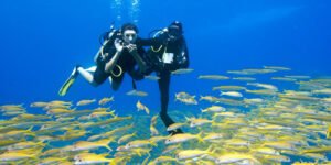 Hurghada or Sharm el Sheikh 7 days 6 nights