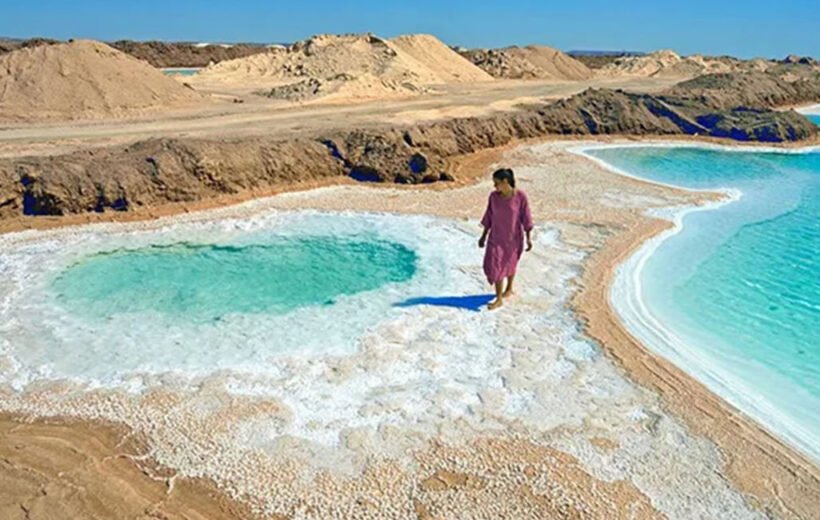 Cairo - Alexandria - Siwa Oasis 8 days 7 nights
