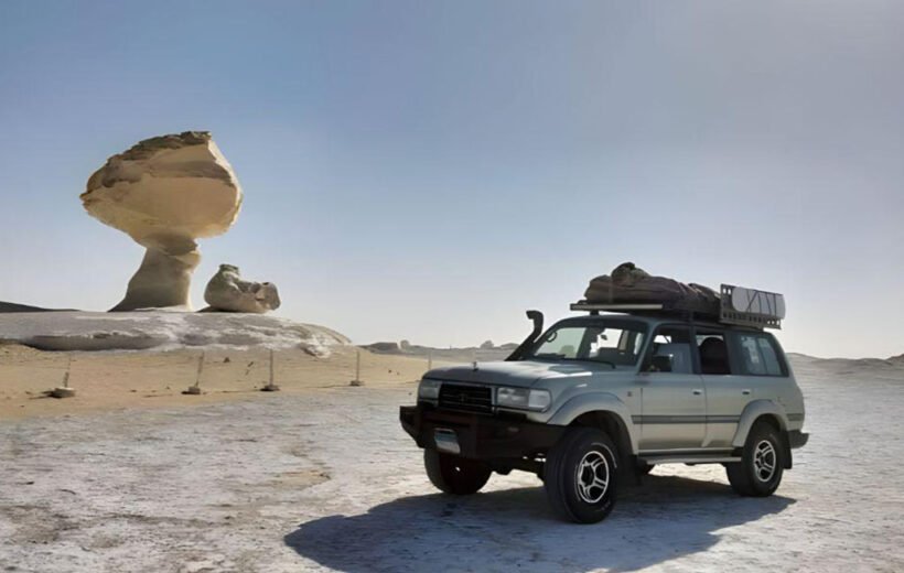 Cairo, Luxor, Western Desert Oasis 8 days 7 nights